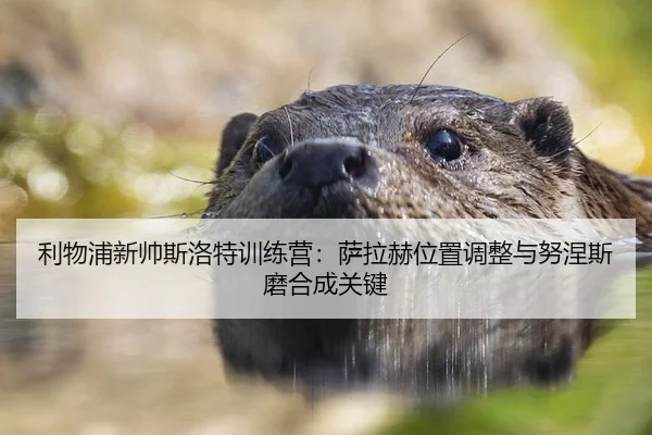 利物浦新帅斯洛特训练营：萨拉赫位置调整与努涅斯磨合成关键